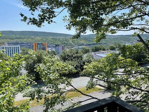 View from Deck