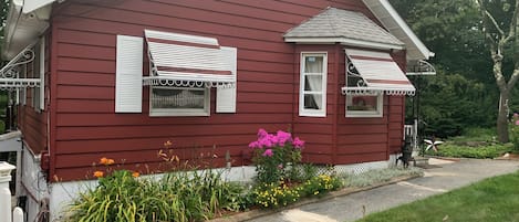 Exteriör