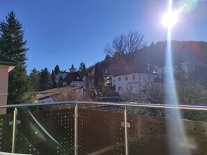 Ferienwohnung Villa Specht