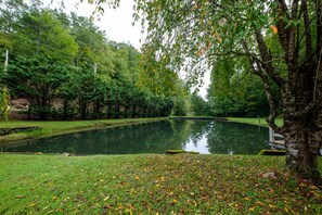 Pond with dock