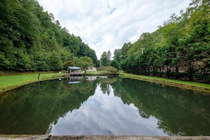 Gazebo by the pond