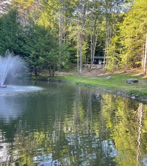 Crook Brook Cabin is tucked away in this little corner. It has a private cozy feel, but you are close to the pavilion, bathhouse, nature trails and have the best views of the pond. The pond is perfect for swimming (spring fed), float on the dock, enjoy the canoe, yoga or feed the fish (we have fish food for you)