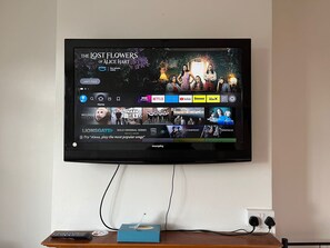 Television