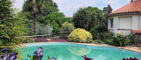 piscine non chauffée 10m x 6m