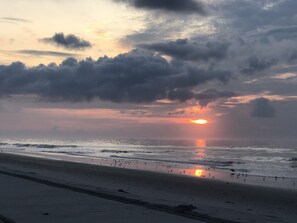 Strand