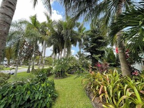 Tropical inviting front yard