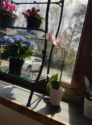 Detalle interior