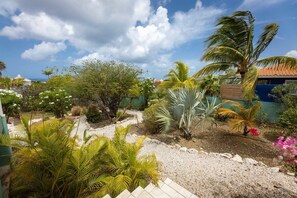 Tropical Garden