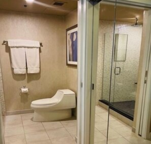 Studio suite bathroom