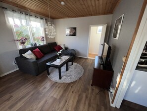 vardagsrum med bäddsoffa och gå in garderob
