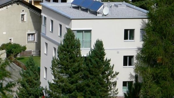 Picture 3