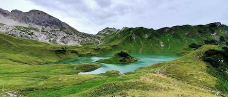 Overnatningsstedets område