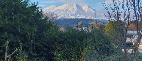 Terrain de l’hébergement 