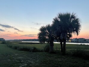 Intercoastal Waterway front yard