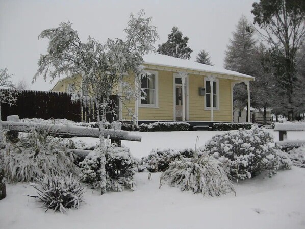 Winter wonderland