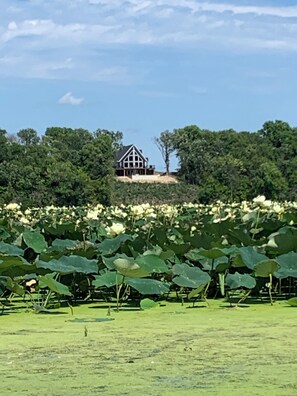 Cedar Lake Home-Lily Pad View