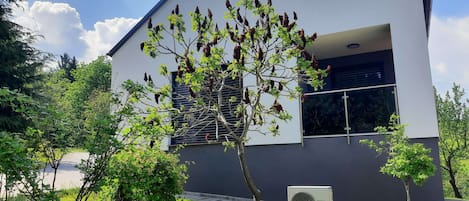 House under the Maple Tree