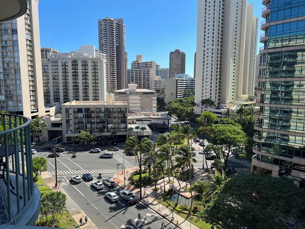 Lanai South View