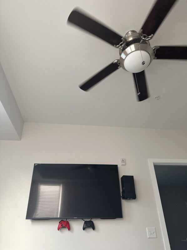 Television