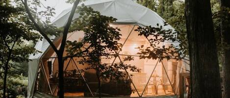 Unique Glamping Stay!  Dome is equipped with modern conveniences!