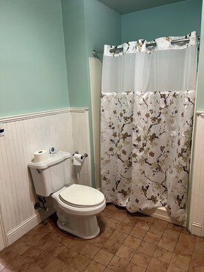Downstairs Bath/shower