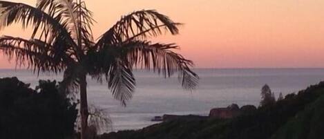 Beach/ocean view