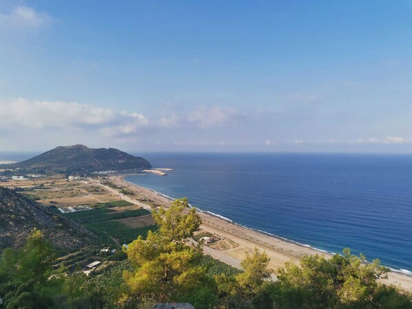 Strand
