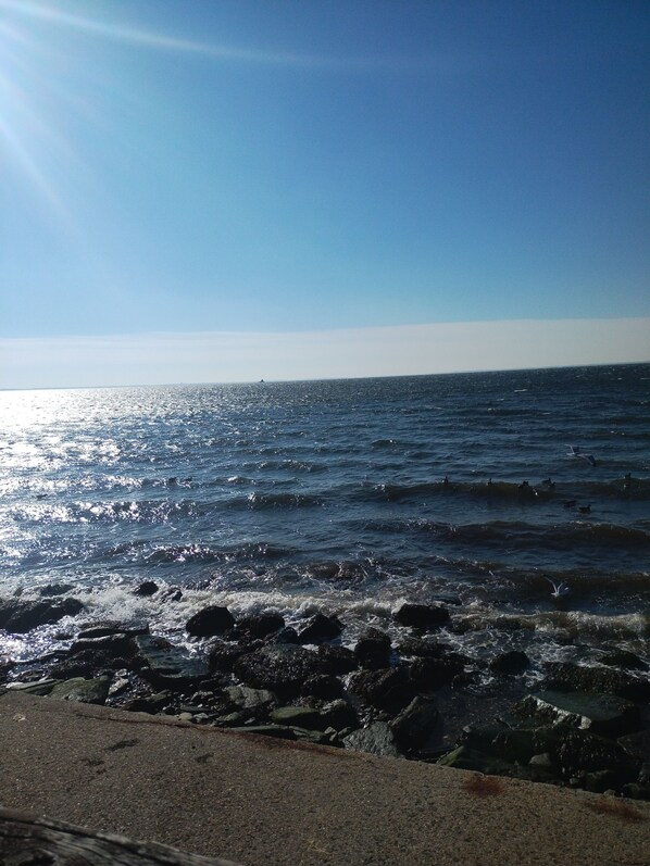 Strand