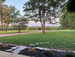 Looking NE from the front porch