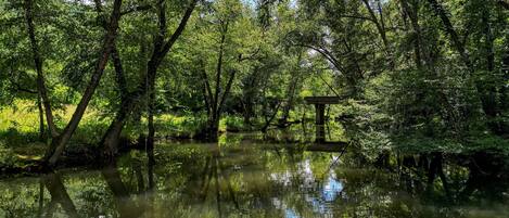 Parco della struttura