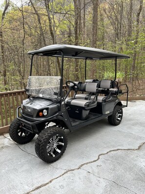 6 passenger cart (like new) available to rent