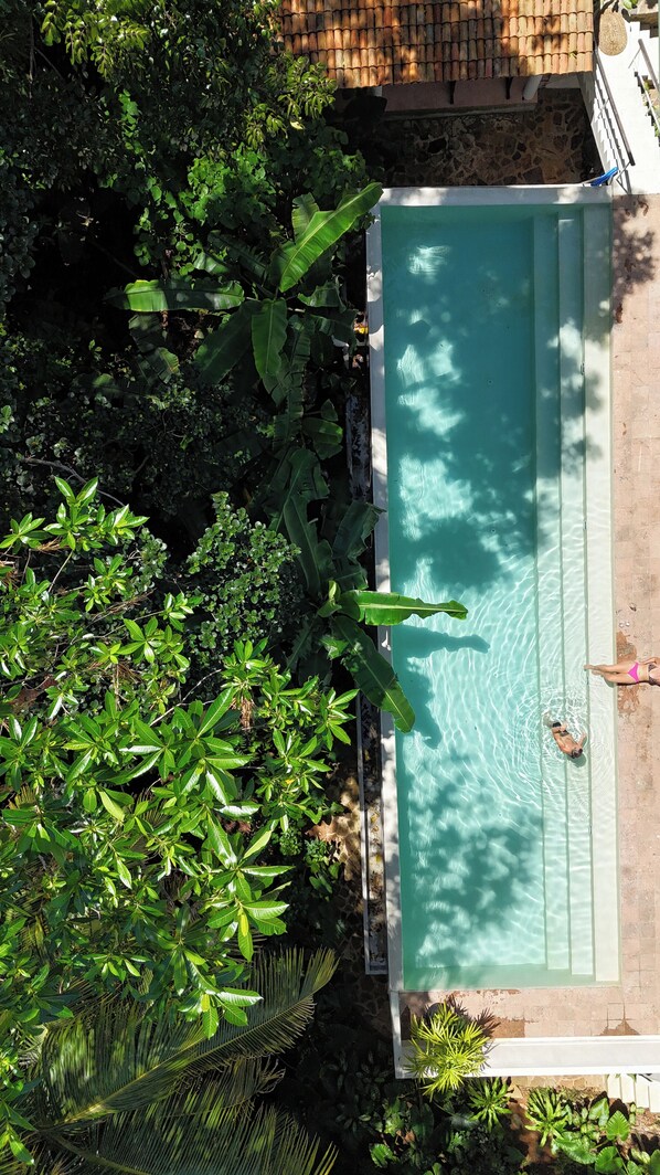The villa is set on it's own piece of jungle