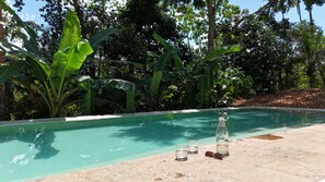 Enjoy the view of the jungle from the pool
