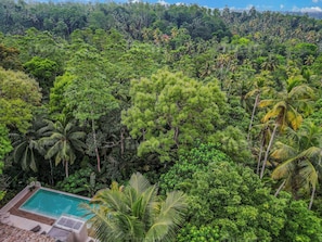 Relax in the tranquility of the jungle