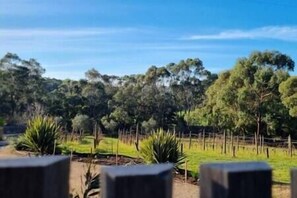 Views of the Treetops and Vineyard