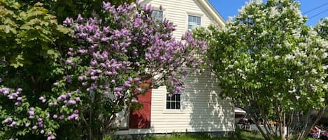 Lilac Cottage