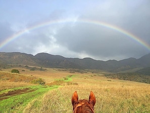 The hiking trails are amazing in Serrano Valley. We can provide you a map!