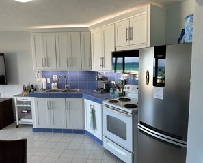 Fully equipped kitchen and Bar cart