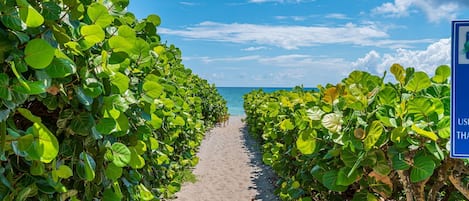 Just a couple of steps to the alluring beach, and to Pelican Lake which has a beautiful park and surrounded by sidewalks and gazebos.