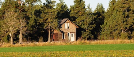 The cottage from distance