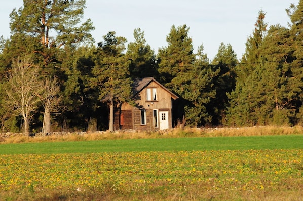 The cottage from distance