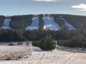 Terrain de l’hébergement 