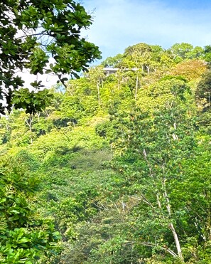 Terrenos do alojamento