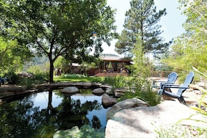 Pond with water feature