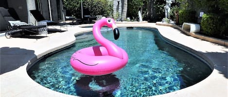 Private instagrammable pool with flamingo floater!