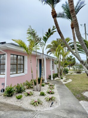 Tropical landscaping