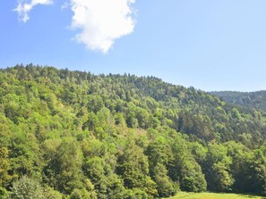 Ferienhaus Julia Sattendorf am Ossiacher See