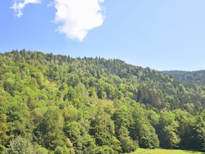 Ferienhaus Julia Sattendorf am Ossiacher See