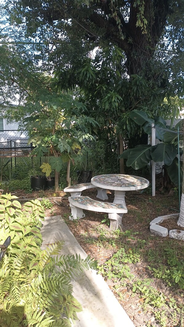 Terraza o patio