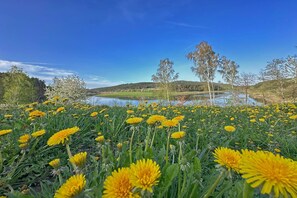 Utsikt från stugan [sommar]